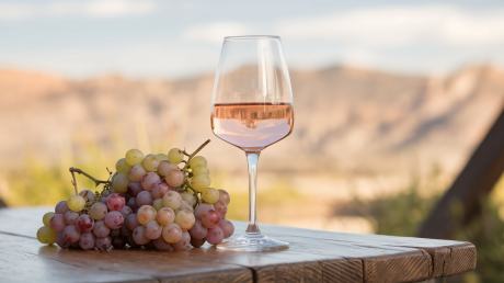 Seleção dos melhores vinhos rosés argentinos, com taça de rosé e paisagem das vinícolas de Mendoza ao fundo.